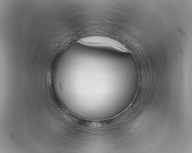 X0000115360562200911171355