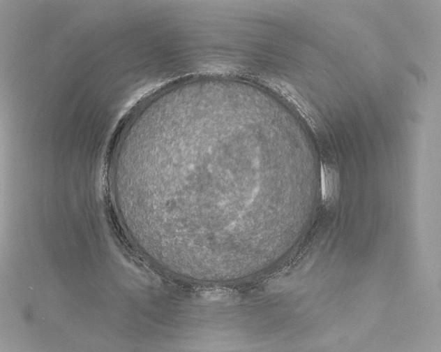 X0000115360579200911171354