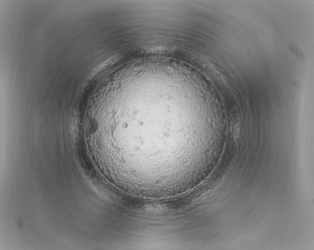 X0000115360591200911171354