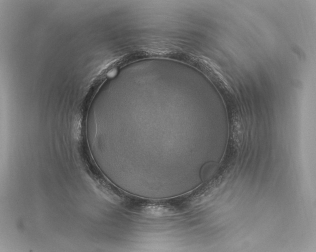 X0000115360596200911171354