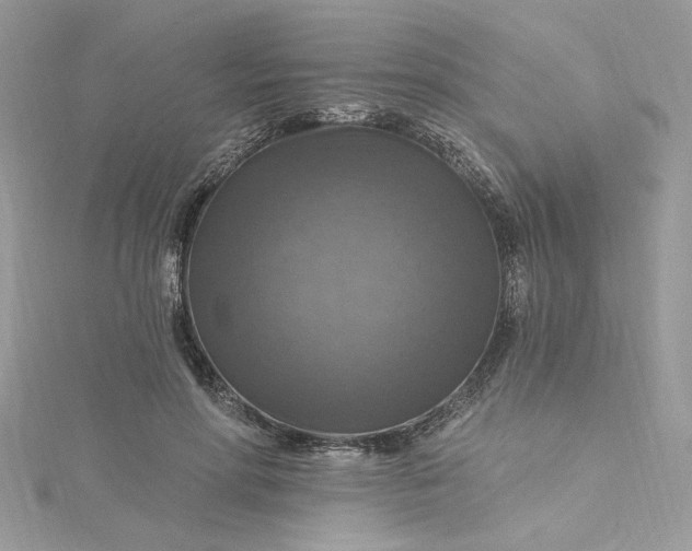 X0000115360598200911171354