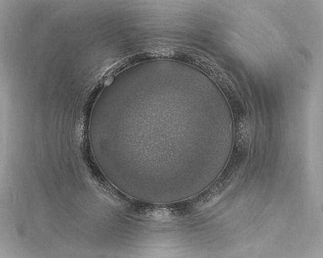 X0000115360600200911171354