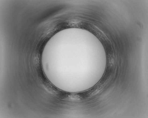 X0000115360603200911171354