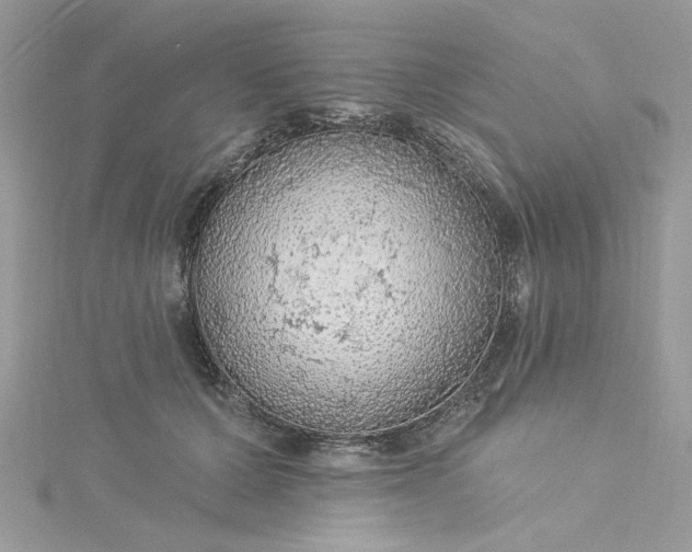 X0000115360607200911171354