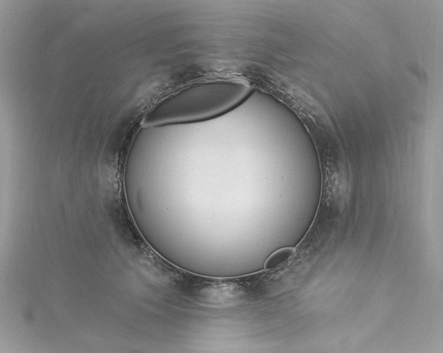X0000115360609200911171354