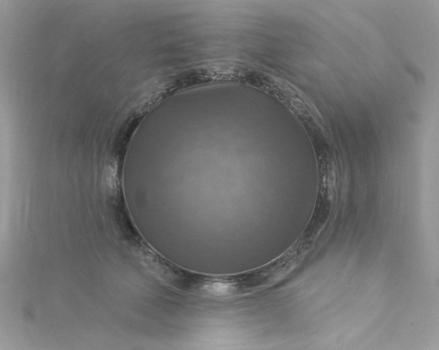 X0000115360610200911171354