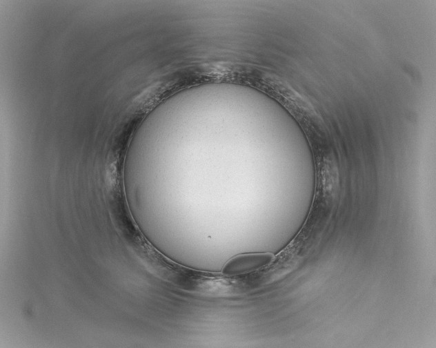 X0000115360611200911171354