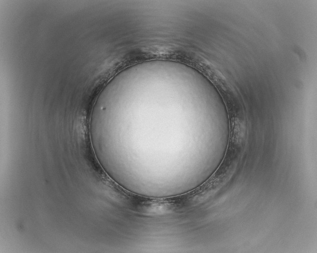 X0000115360612200911171354