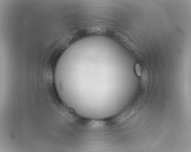 X0000115360617200911171354
