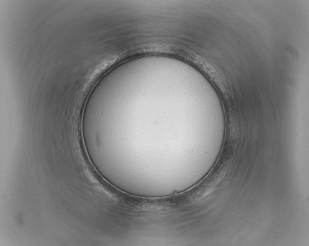X0000115360625200911171353