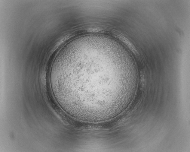 X0000115360626200911171353