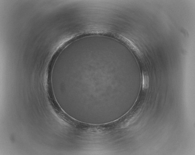 X0000115360627200911171353