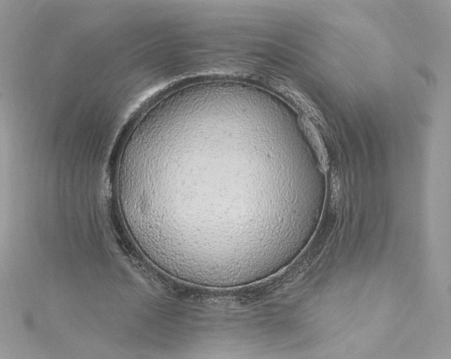 X0000115360628200911171353