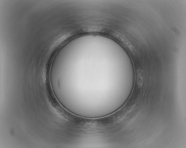 X0000115360631200911171353