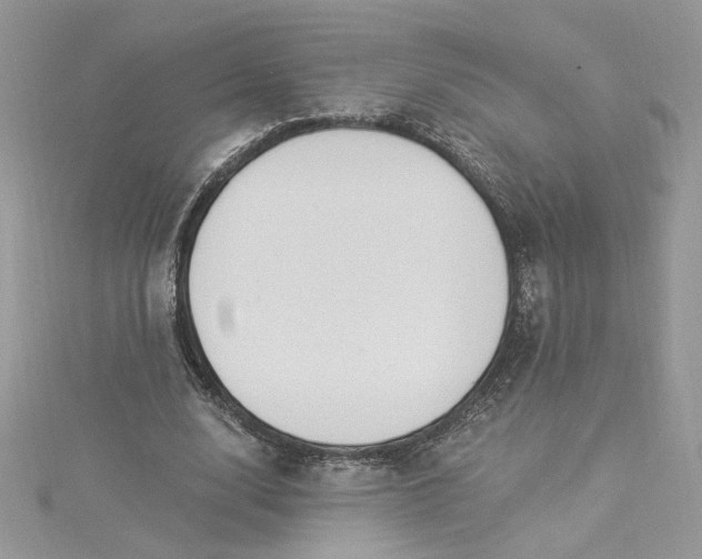 X0000115360632200911171353