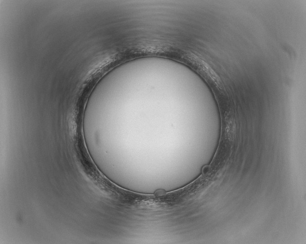 X0000115360635200911171353