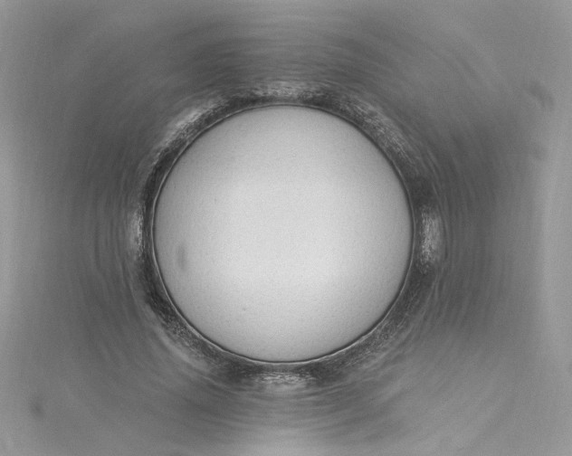 X0000115360636200911171353