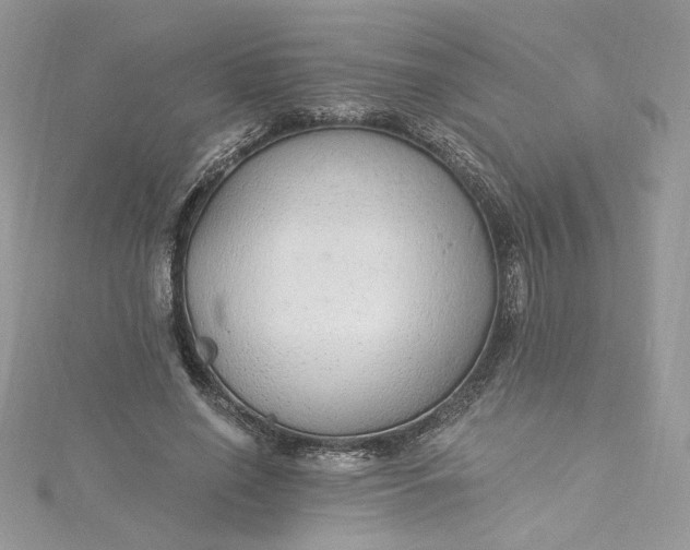 X0000115360638200911171353
