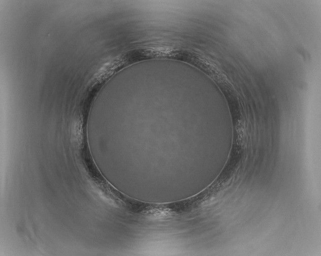 X0000115360642200911171353