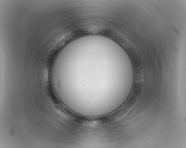 X0000115360646200911171353