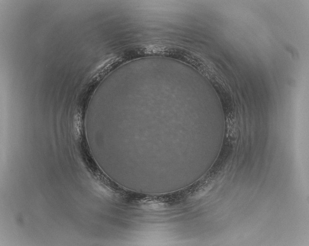 X0000115360648200911171353
