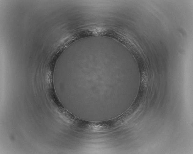 X0000115360650200911171353