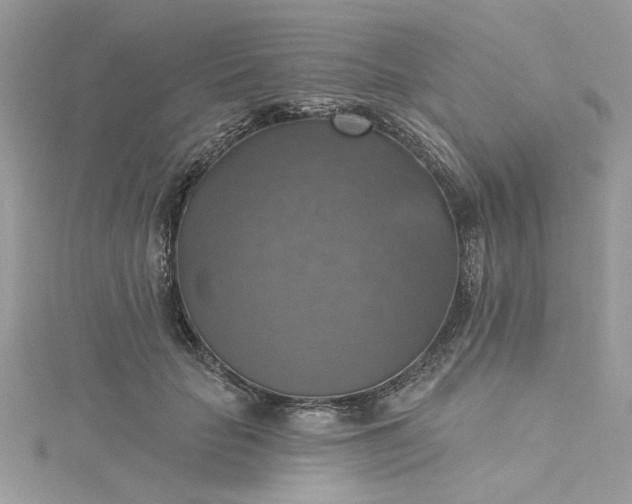 X0000115360653200911171353