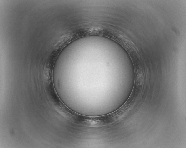 X0000115360654200911171353