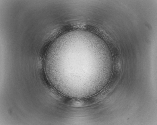 X0000115360658200911171354