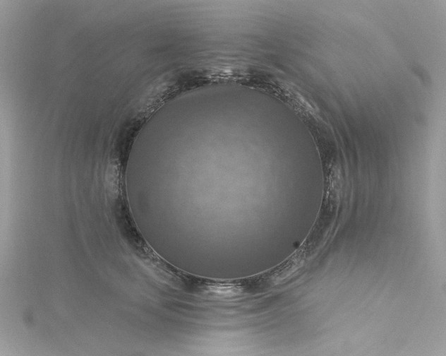 X0000115360659200911171354