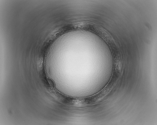X0000115360660200911171354