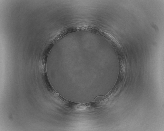 X0000115360661200911171354