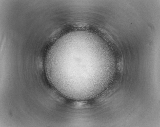 X0000115360662200911171354