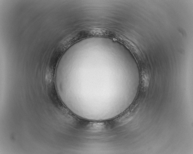 X0000115360665200911171354