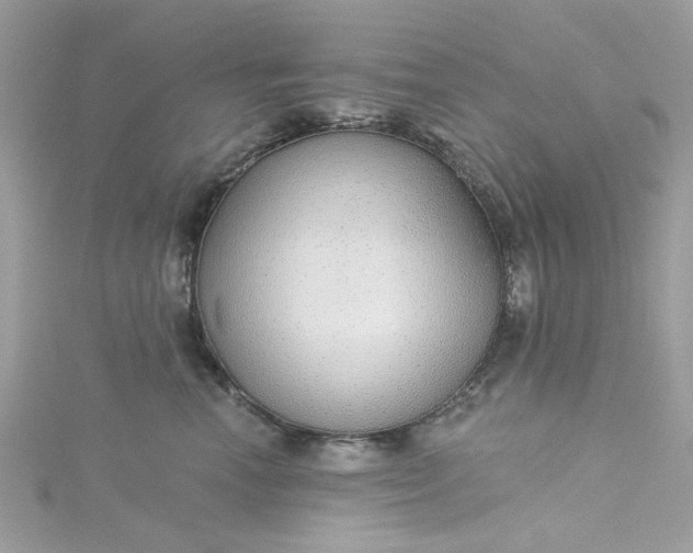 X0000115360666200911171354