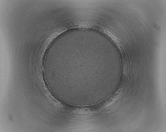 X0000115360673200911171353