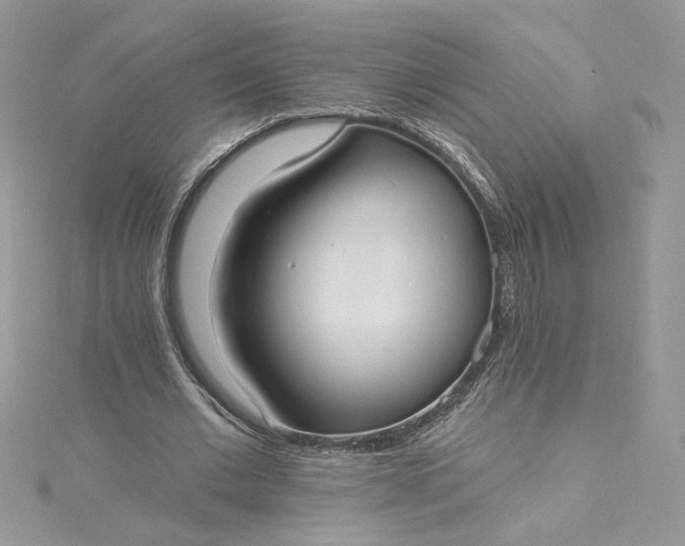 X0000115360677200911171353