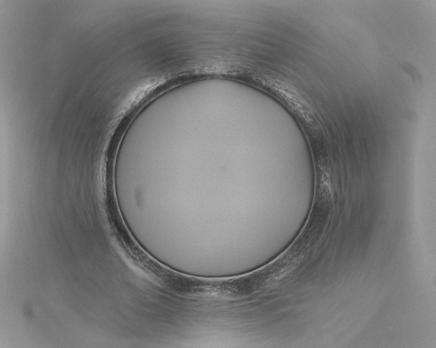 X0000115360678200911171353