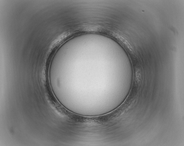 X0000115360682200911171353