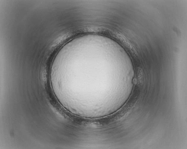 X0000115360683200911171353