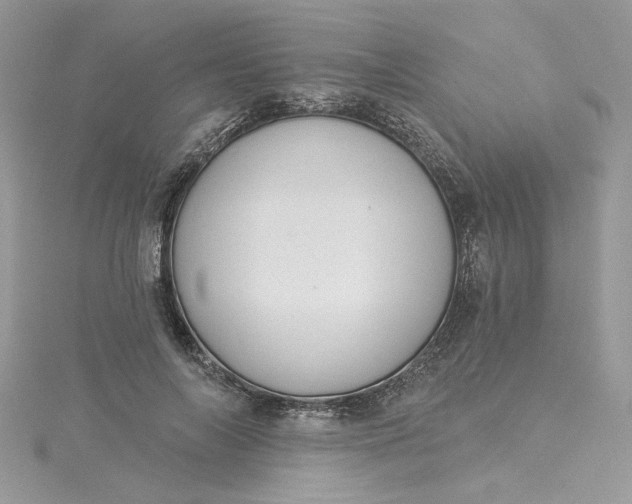 X0000115360694200911171353