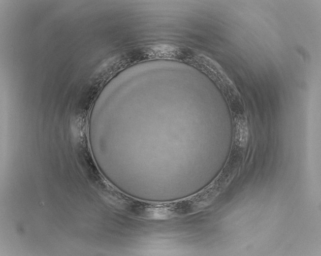 X0000115360701200911171353