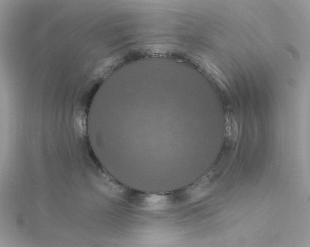 X0000115360718200911171352