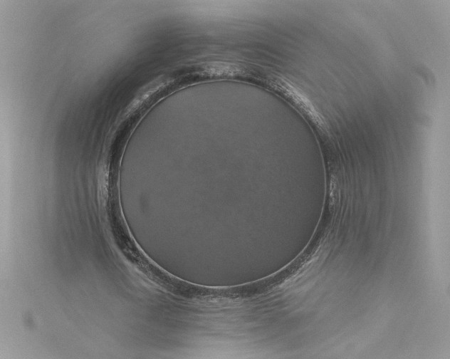 X0000115360722200911171352