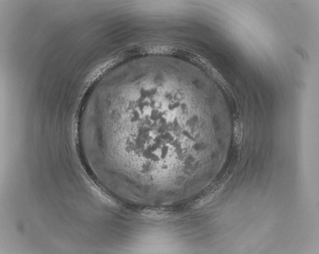 X0000115360725200911171352