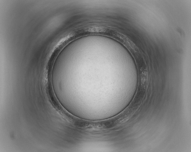 X0000115360727200911171352