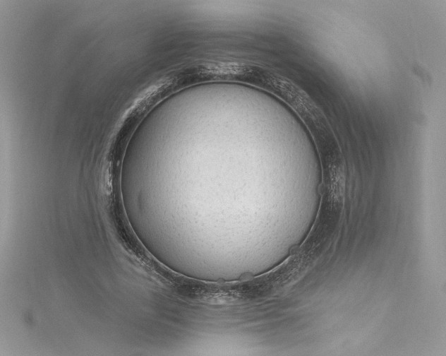 X0000115360731200911171352