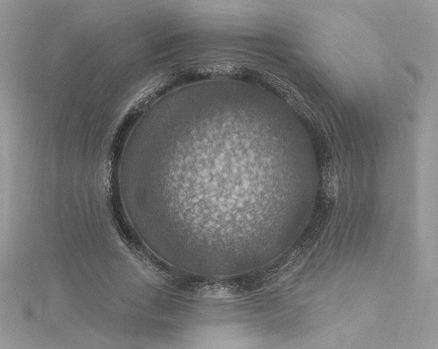 X0000115360735200911171352