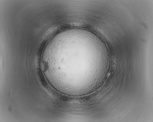 X0000115360738200911171352