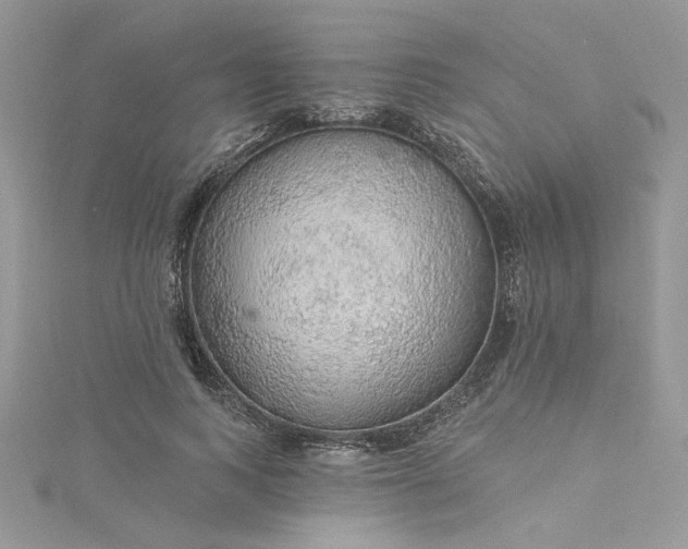 X0000115360743200911171352